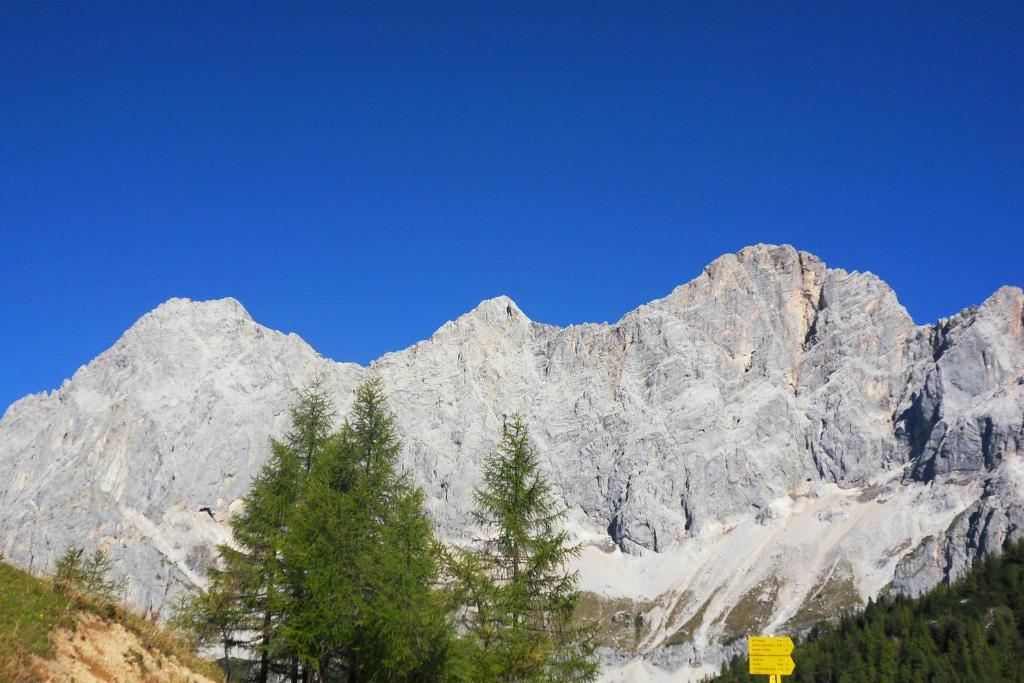 Ferienhaus Abendstille Ramsau am Dachstein Cameră foto